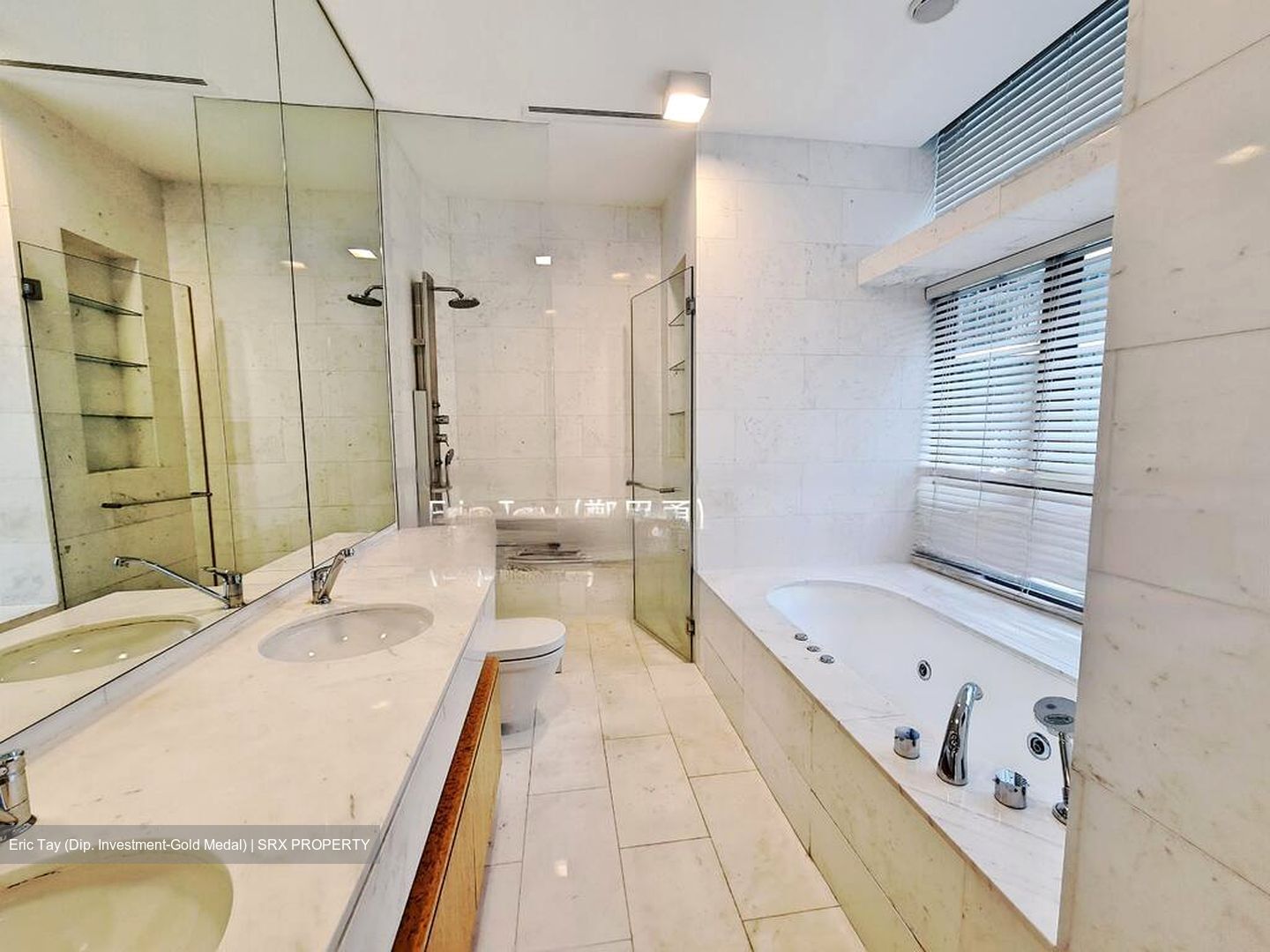 Belle Vue Residences (D9), Condominium #462527341